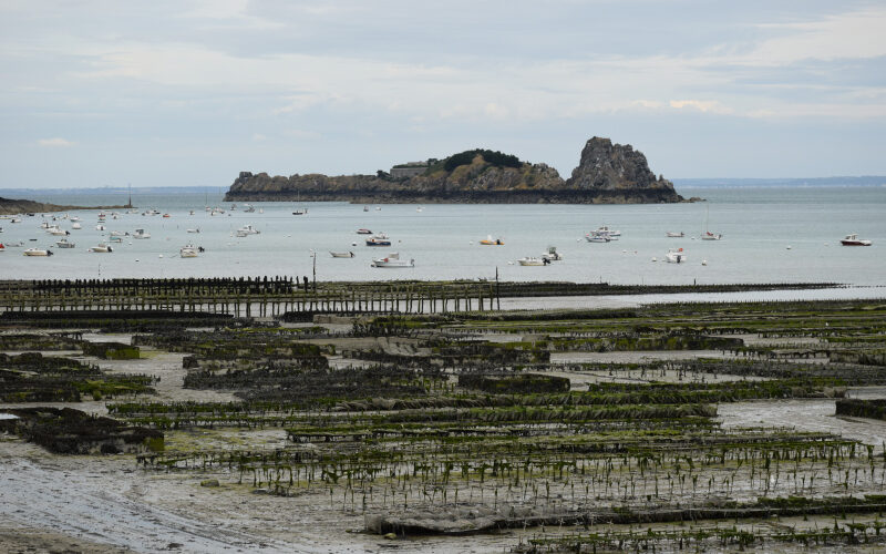 CANCALE-20150718-6661