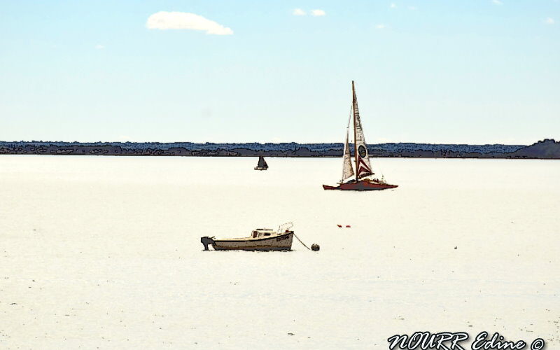 CANCALE-20160807-9762A