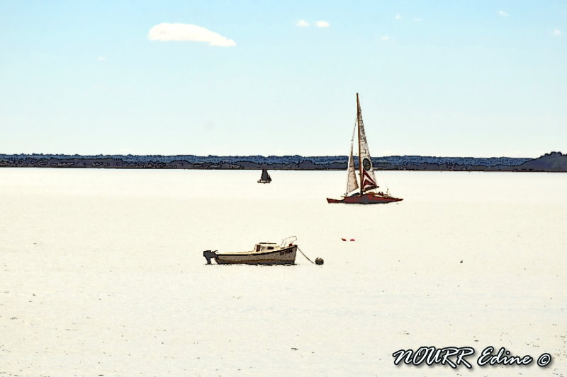 CANCALE-20160807-9762A