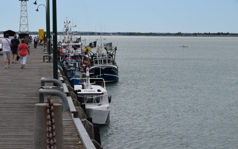 CANCALE-20160807-9818