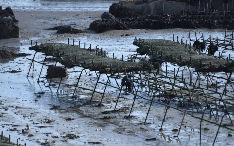 CANCALE-20180217-11318