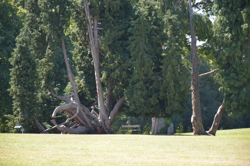Combourg-20150821-6789
