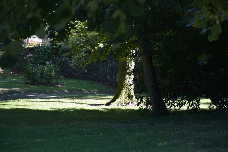 Combourg-20150821-6790