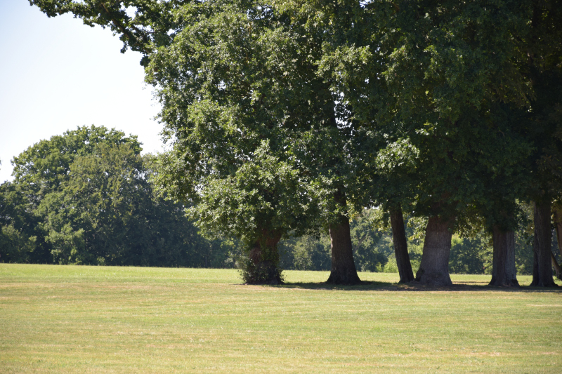 Combourg-20150821-6791