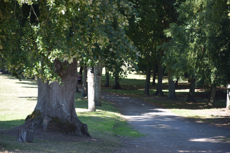 Combourg-20150821-6800