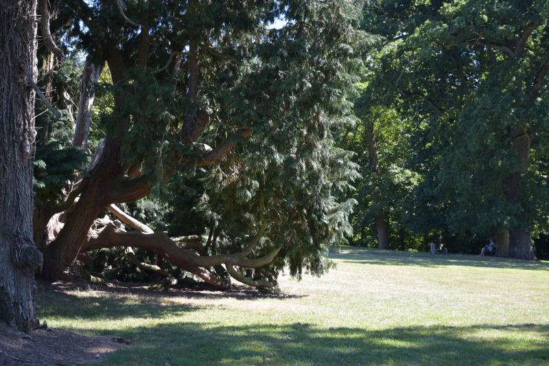 Combourg-20150821-6834