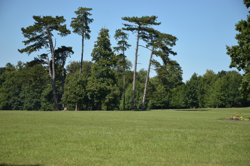 Combourg-20150821-6837