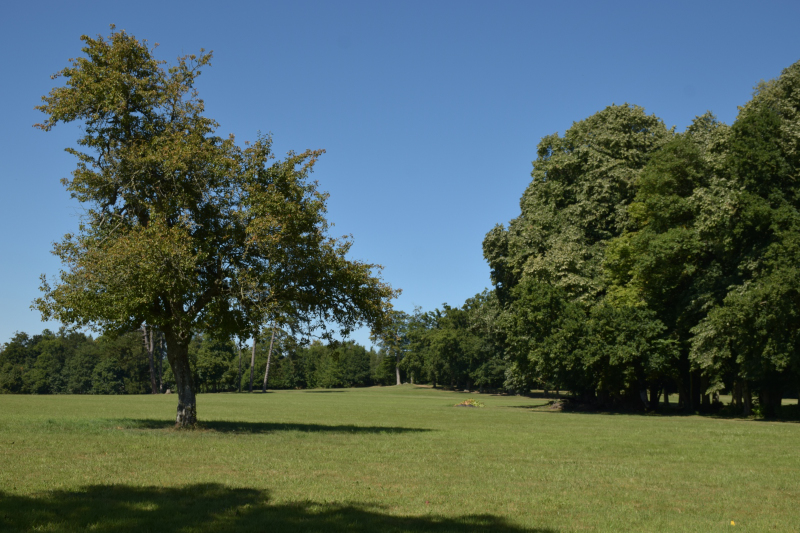 Combourg-20150821-6839
