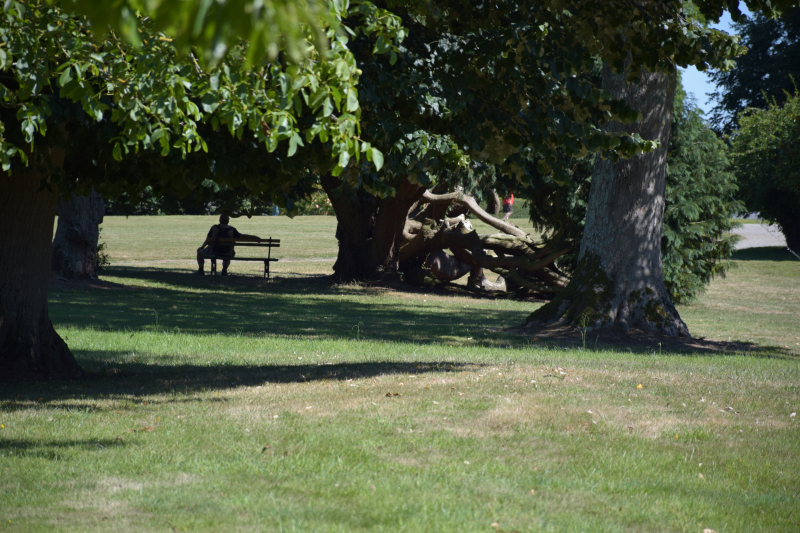 Combourg-20150821-6841