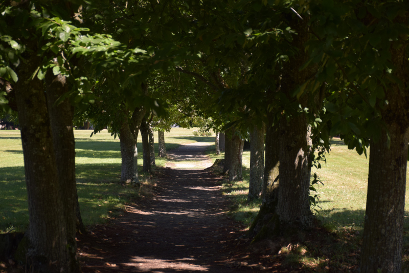 Combourg-20150821-6847