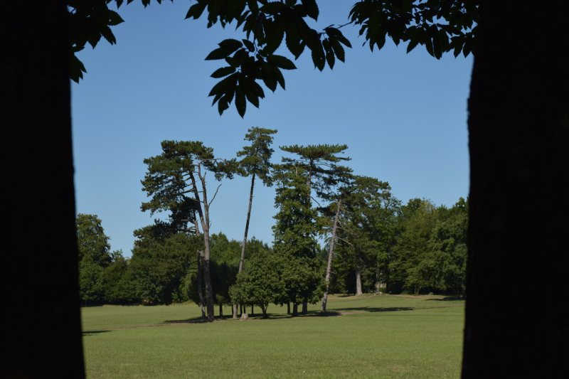 Combourg-20150821-6851
