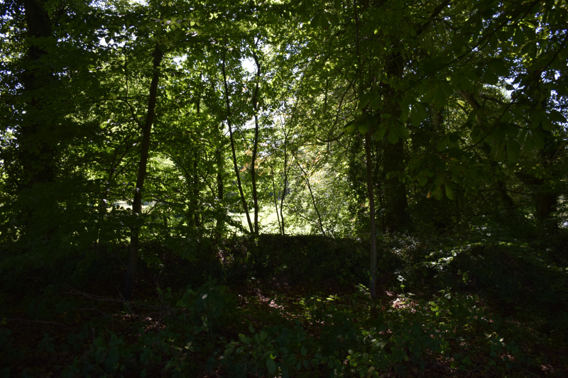Combourg-20150821-6861