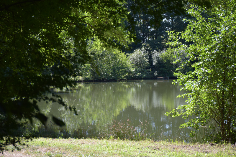 Combourg-20150821-6864