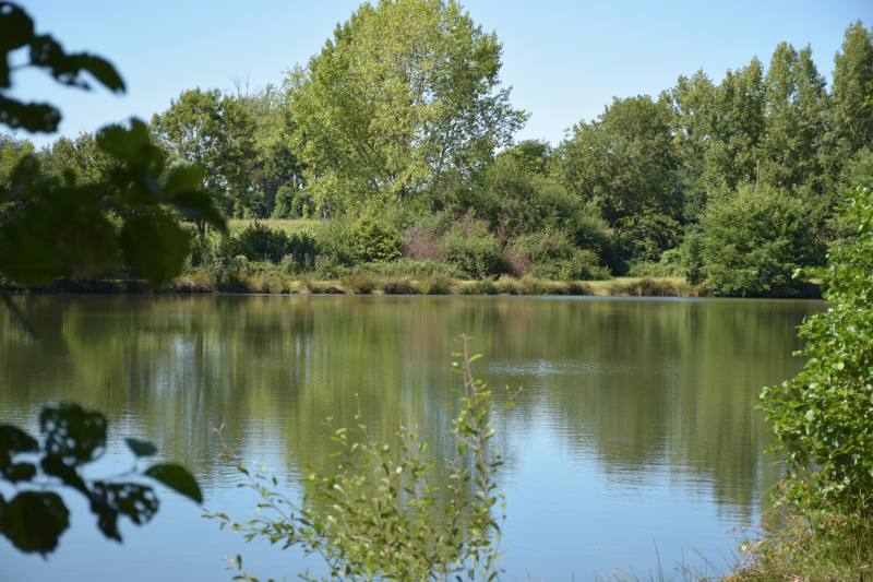 Combourg-20150821-6866
