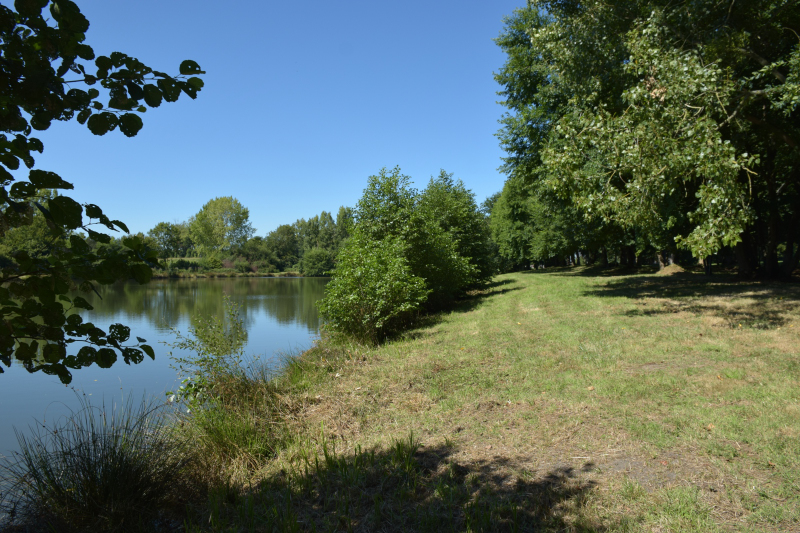 Combourg-20150821-6867
