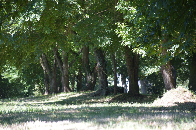 Combourg-20150821-6884