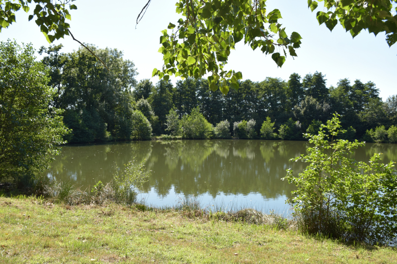 Combourg-20150821-6885