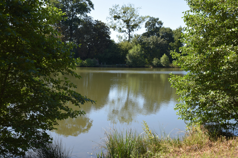 Combourg-20150821-6889