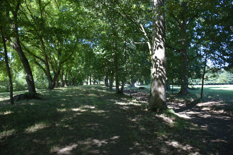 Combourg-20150821-6891