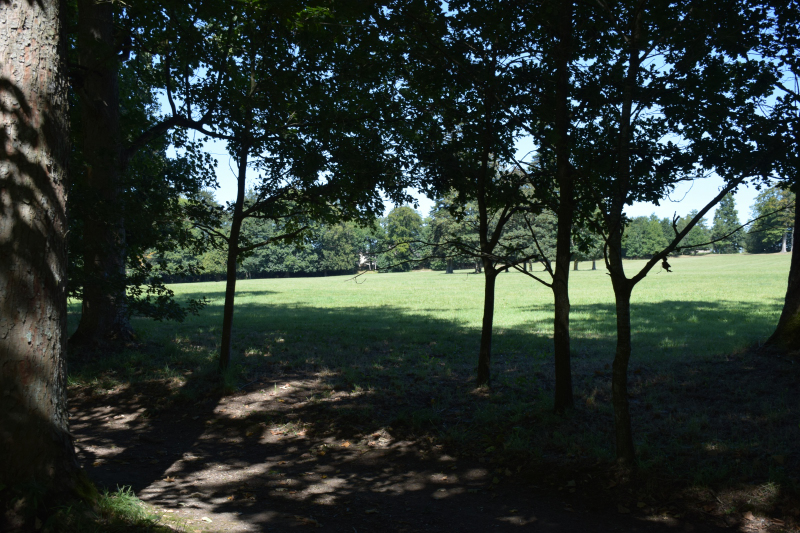 Combourg-20150821-6894