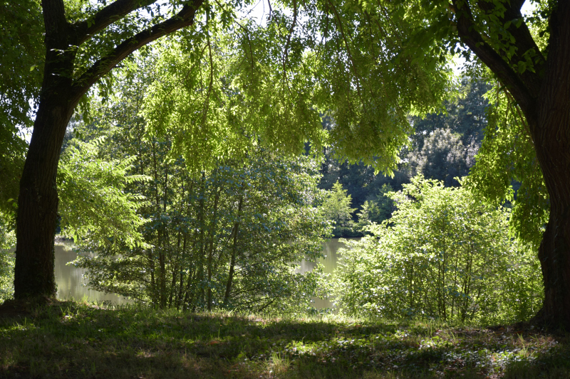 Combourg-20150821-6898