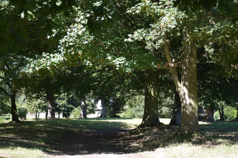 Combourg-20150821-6900
