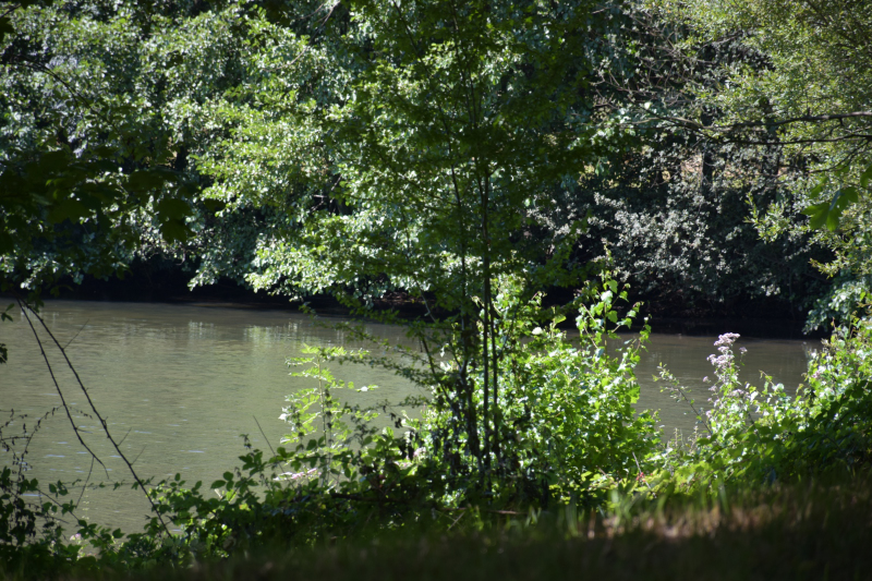 Combourg-20150821-6902