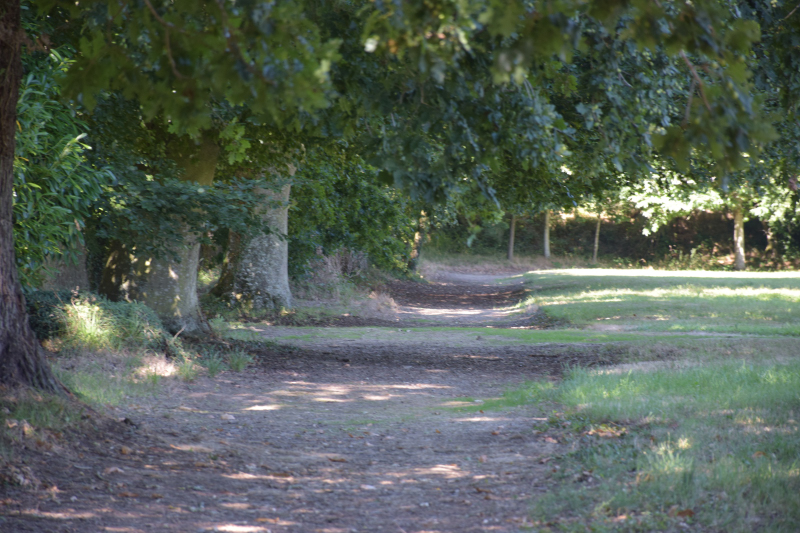 Combourg-20150821-6904