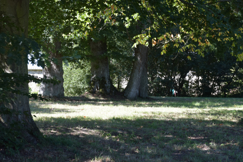 Combourg-20150821-6908