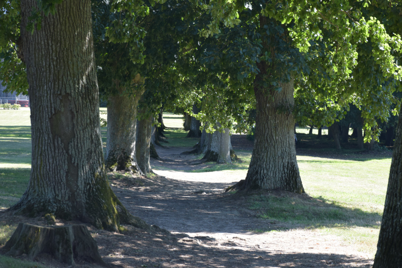 Combourg-20150821-6912