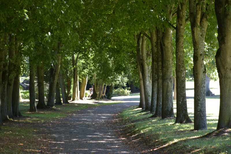 Combourg-20150821-6918