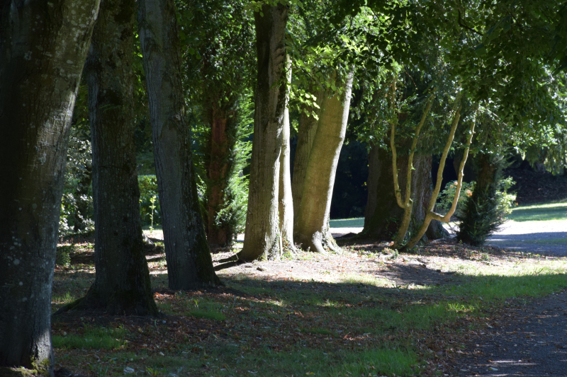 Combourg-20150821-6920