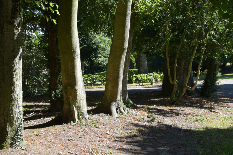 Combourg-20150821-6924