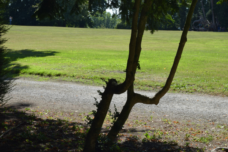 Combourg-20150821-6927