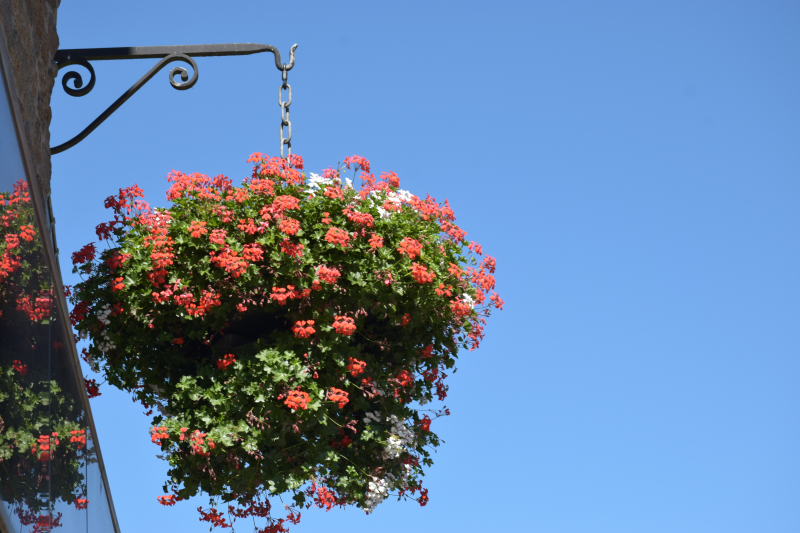Combourg-20150821-6970