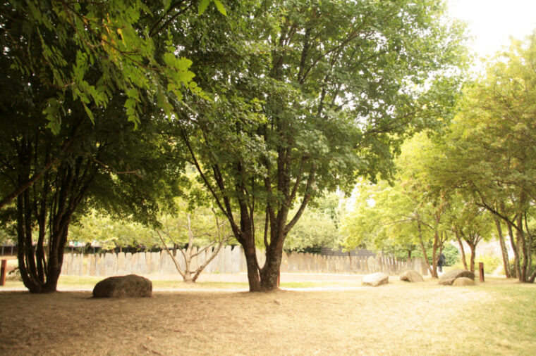 Gacily-20130816-2830
