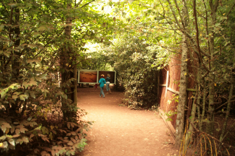 Gacily-20130816-2835