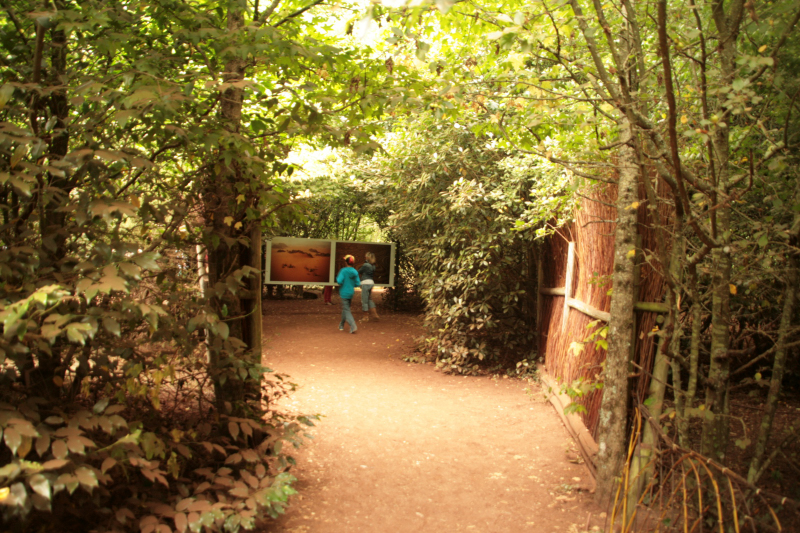 Gacily-20130816-2835