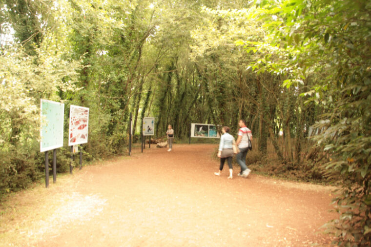 Gacily-20130816-2836