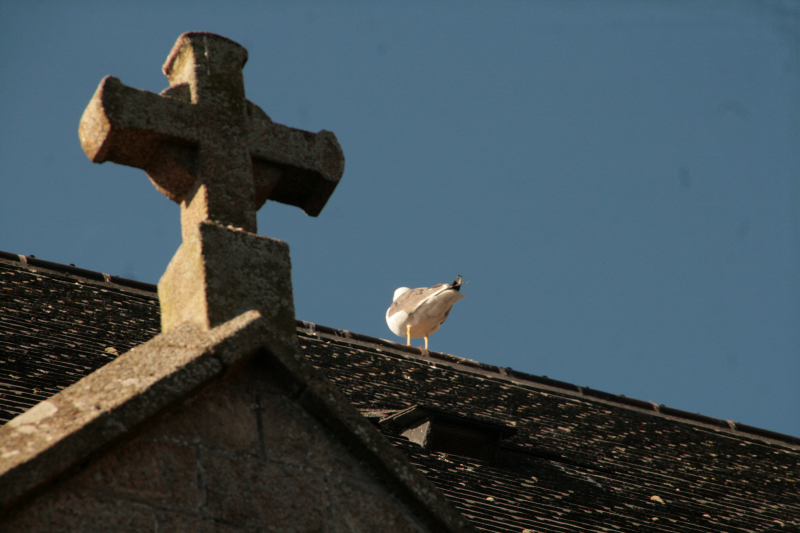 MontSMichel-20130815-3294
