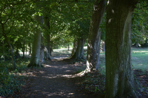 Combourg-20150821-6859