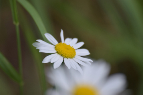 EdApinee-20160723-8909