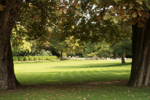 Jardins du luxembourg