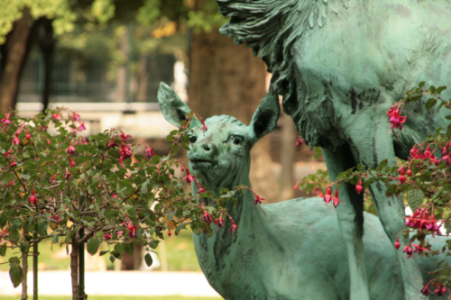 Jardins du luxembourg