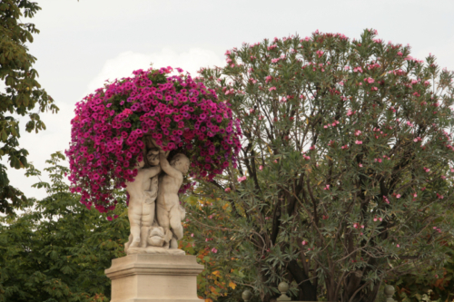 Jardins du luxembourg